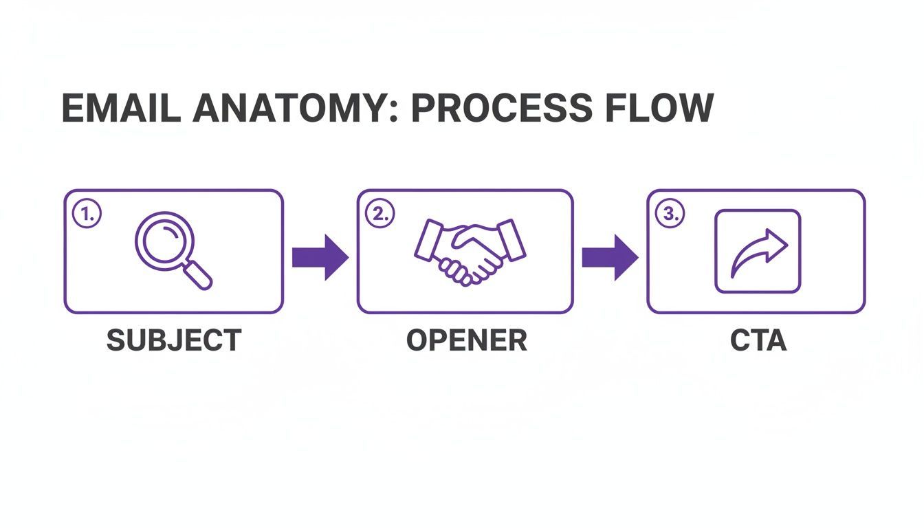 A diagram illustrating the email anatomy process flow, detailing Subject, Opener, and CTA stages.