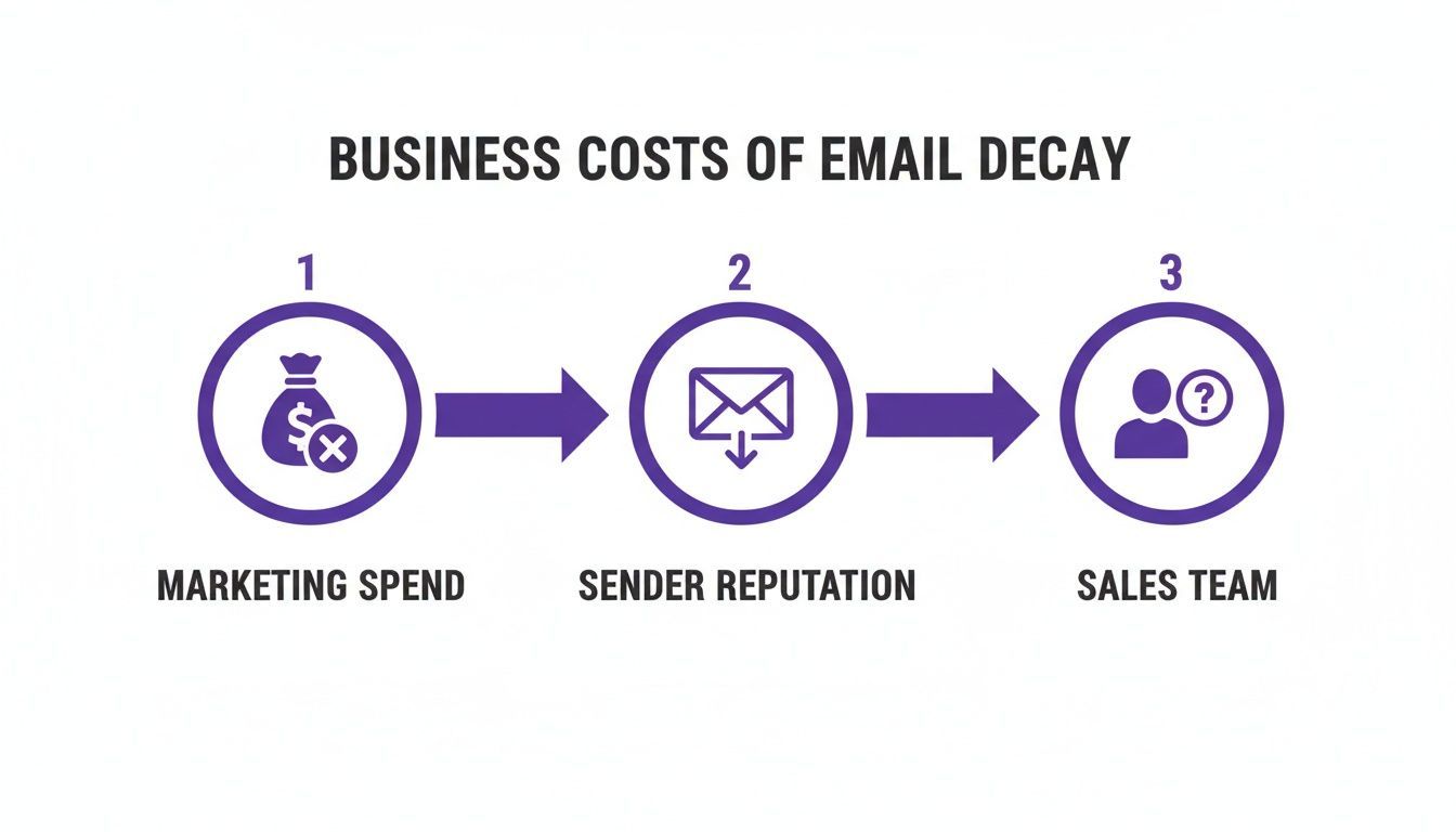 Flowchart showing the business costs of email decay, impacting marketing spend, sender reputation, and sales team.