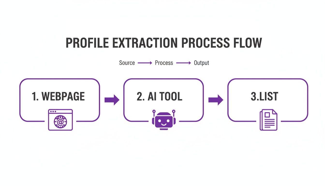 Flowchart showing profile extraction from webpage source through an AI tool to an output list.