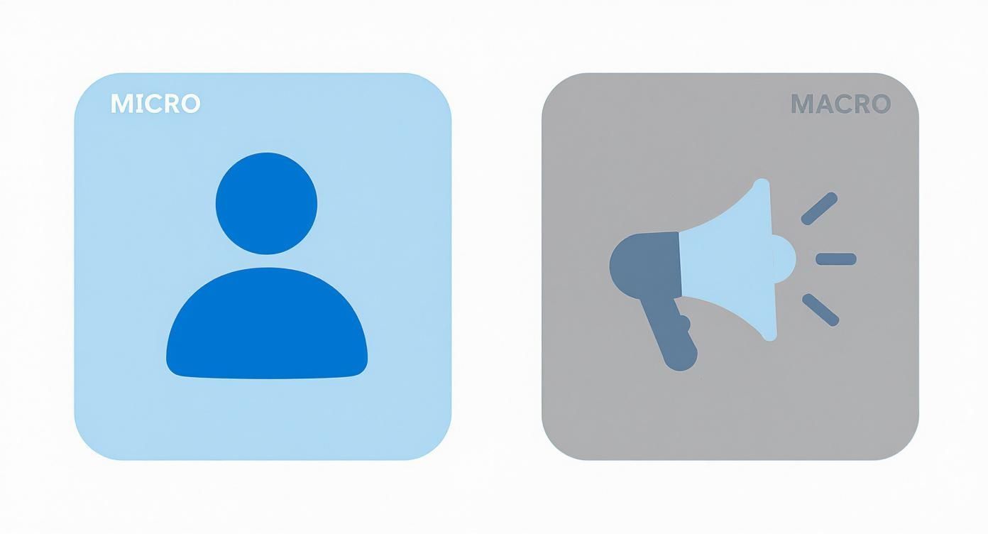 Infographic about influencer marketing for b2b: how to find & activate micro-influencers