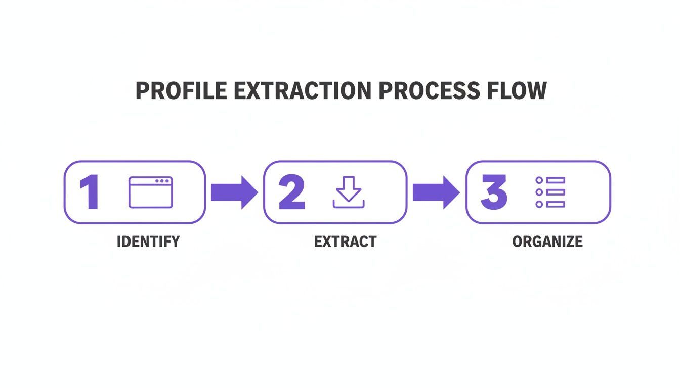 A three-step profile extraction process flow diagram showing identify, extract, and organize stages.
