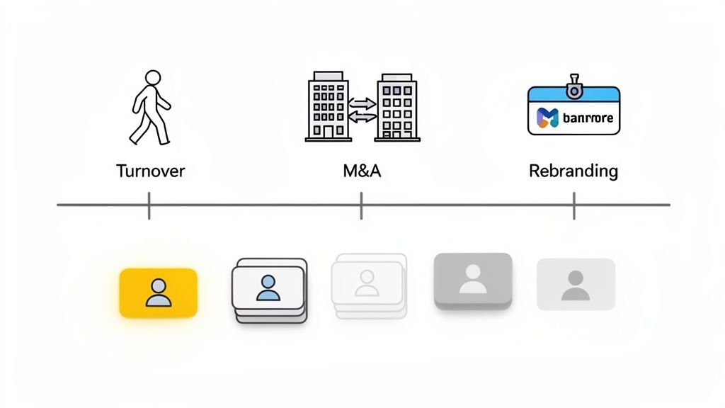 A timeline illustrating how turnover, M&A, and rebranding affect organizational data changes.