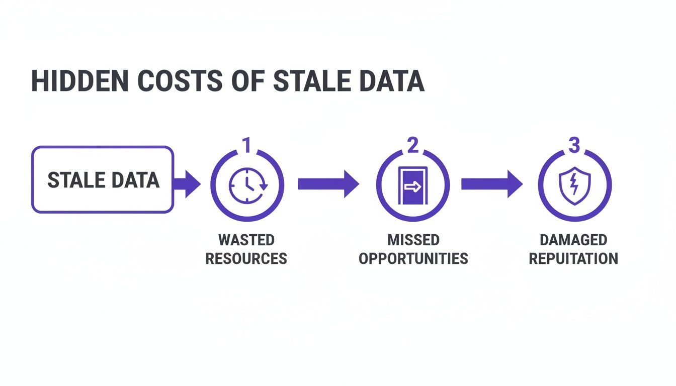 A flowchart showing the hidden costs of stale data leading to wasted resources, missed opportunities, and damaged reputation.