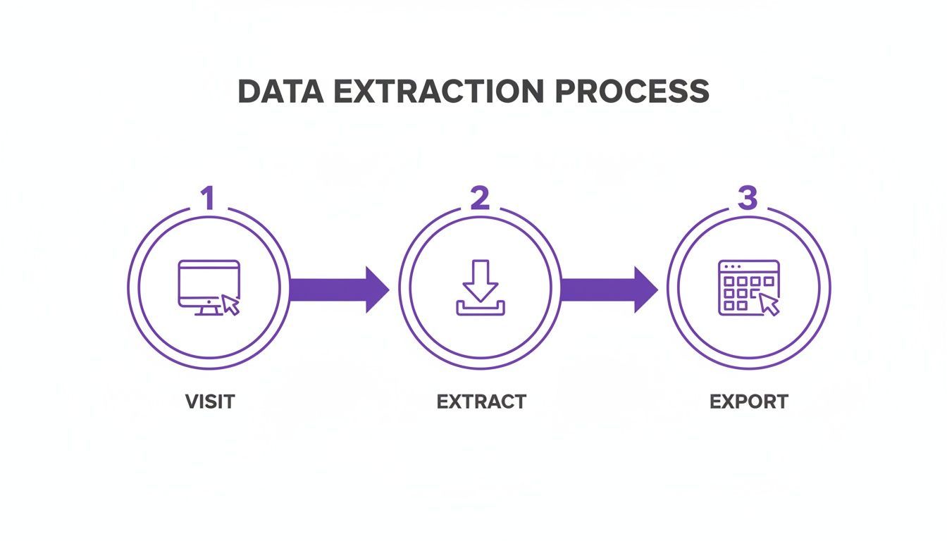 A three-step data extraction process infographic with icons: visit, extract, and export.
