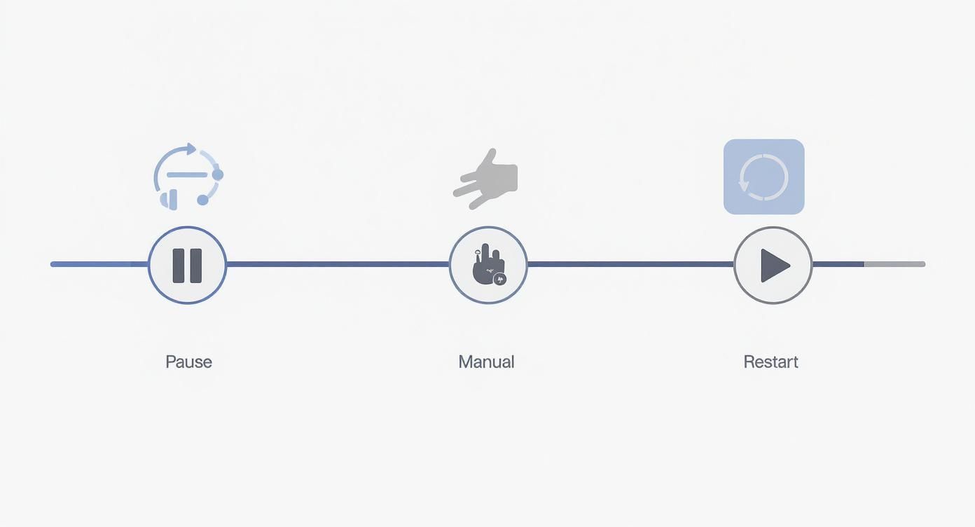 Graphical timeline displaying pause, manual intervention, and restart steps with corresponding icons.