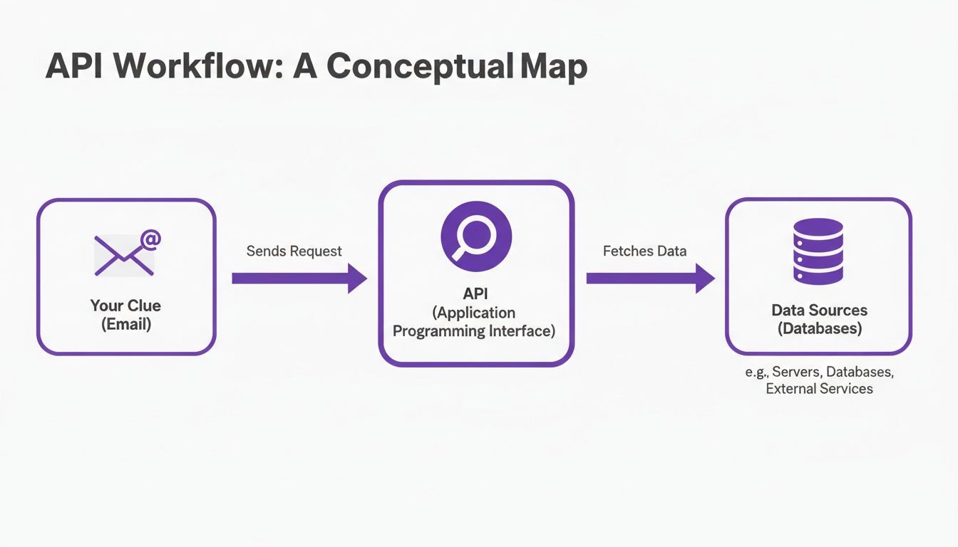 Conceptual map showing API workflow: Email sends request to API, which fetches data from sources like databases.